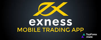 Exploring Exness For Trading A Comprehensive Guide