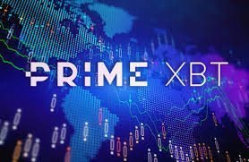 Maximize Your Potential Trading on PrimeXBT Maximize Your Potential Trading on PrimeXBT