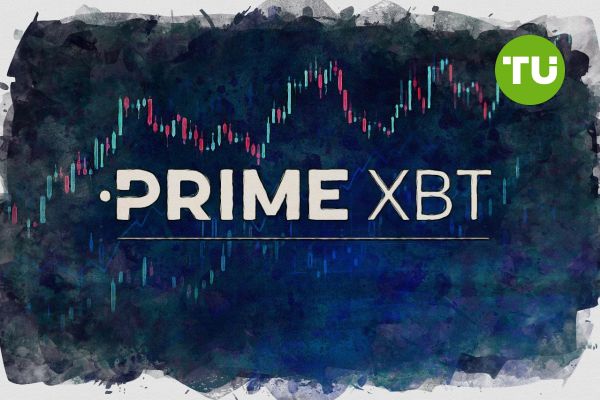 PrimeXBT vs Pocket Option Which Trading Platform is Right for You