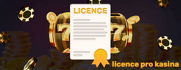 Zahraniční online casina Jak vybrat to nejlepší